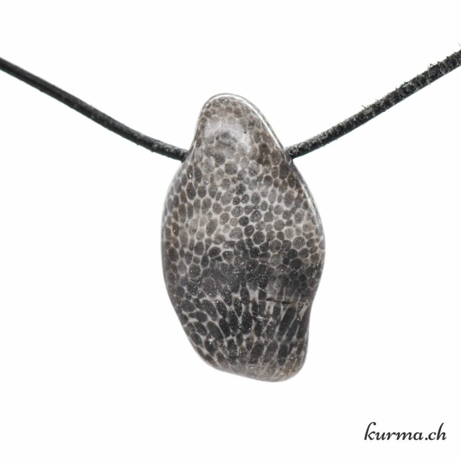 Bryozoaire Corail noir fossile Collier en pierre percée N10529 7