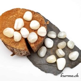 Agate Blanche ''Agate de paix'' - Pierre roulée 2.5cm à 3cm - N°5814.1 • Agate blanche Pierre roulee 5814.1 1 Agate Blanche ”Agate de paix” – Pierre roulée 2.5cm à 3cm – N°5814.1