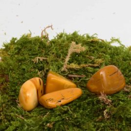 Mookaïte ou Jaspe Mookaïte Jaune - Pierre roulée 2.5cm à 3cm - N°7342.2 • Moookaïte Jaune N°7342.2 11gr 25 3cm 1 Mookaïte ou Jaspe Mookaïte Jaune – Pierre roulée 2.5cm à 3cm – N°7342.2