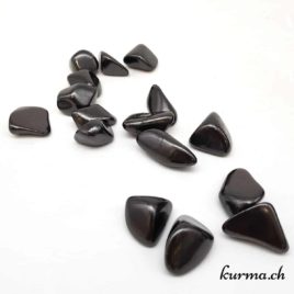 Shungite – Pierre roulée – Taille M – N°7465.5