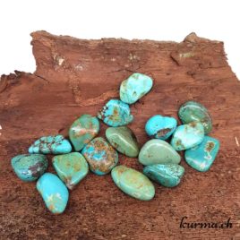 Turquoise Stabilisée - Pierre roulée 2cm à 3cm – N°5144.1 • Turquoise Pierre roulee 5144.1 1 Turquoise Stabilisée – Pierre roulée 2cm à 3cm – N°5144.1