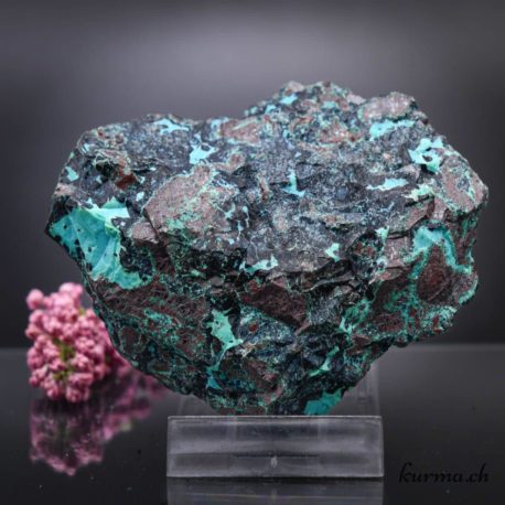 Chrysocolle brute