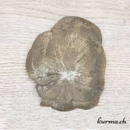 Pyrite Soleil ou Pyrite dollar – 9x11cm - N°5180.3 • pyrite soleil mineral 5180.3 4 pyrite soleil