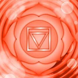 Symbole du chakra Racine