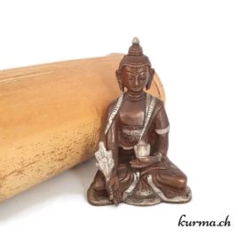 Bouddha médecine en bronze - 12cm - N°6363.1 • Bouddha medecine bronze et argent 6363 2 Acheter bouddha médecin