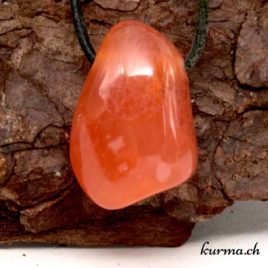 Cornaline - Pendentif en pierre percée - N°5878.2 • Cornaline 5878.2 13gr 3.1x2.1x1.5cm 1 Acheter pendentif en Cornaline