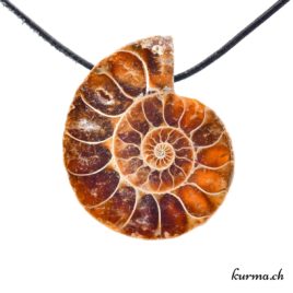 Ammonite Pendentif
