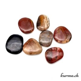 Bois Pétrifie - Galet - 4.5 à 5cm - N°7772 • Bois fossilise Pierre roulee 7772 3 Bois Pétrifie – Galet – 4.5 à 5cm – N°7772