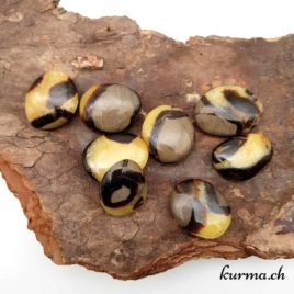 Septaria Jaune - Galet - 3.5 à 4cm - N°7764 • Galet Septaria jaune s 7764 2 Galet-Septaria-jaune