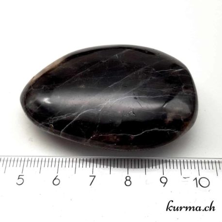 Galet pierre de lune noire-8444 (4)