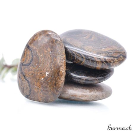 Galet Stromatolite 4-5cm - Nº7327-3 disponible dans la boutique en ligne Kûrma. Votre magasin de pierre et minéraux en suisse