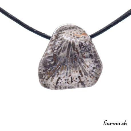 Pendentif Bryozoaires ''Corail noir Fossile'' - N°10529.3-1 disponible dans la boutique en ligne Kûrma. Votre Magasin de lithothérapie Suisse en ligne.