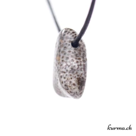 Pendentif Bryozoaires ''Corail noir Fossile'' - N°10529.3-2 disponible dans la boutique en ligne Kûrma. Votre Magasin de lithothérapie Suisse en ligne.
