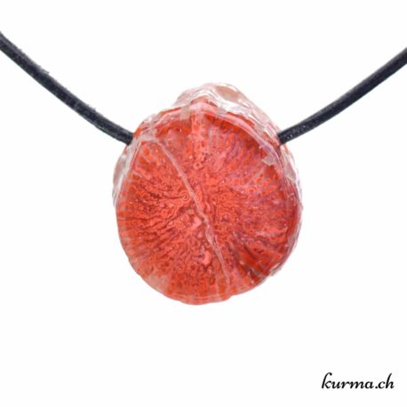 Pendentif Corail Rouge ''Corne de Corail'' - N°10527.4-1 disponible dans la boutique en ligne Kûrma. Votre Magasin de lithothérapie Suisse en ligne.