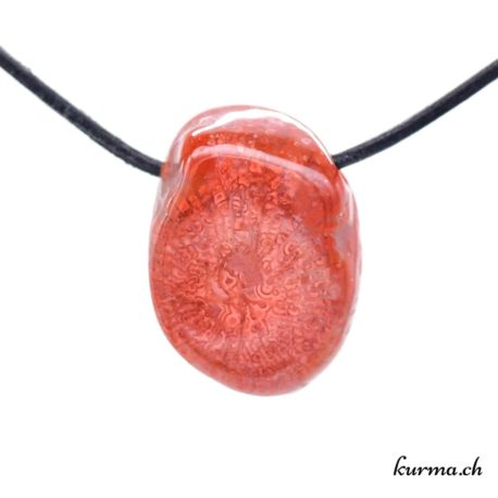 Pendentif Corail Rouge ''Corne de Corail'' - N°10527.5-1 disponible dans la boutique en ligne Kûrma. Votre Magasin de lithothérapie Suisse en ligne.