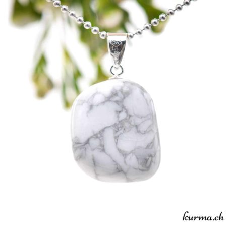 Pendentif Magnétite avec boucle en argent - N°8831.5-1 disponible dans la boutique en ligne. Kûrma ton magasin de pierres semi-précieuses en Suisse