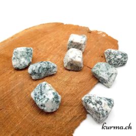 Agate arboisée - Pierre brute de poche – 2.5 à 3cm – N°7780 • Agate arboisee Pierre brute de poche 7780 1 Agate brute