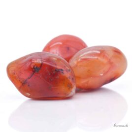 Cornaline Agate - Jumbo - Taille S