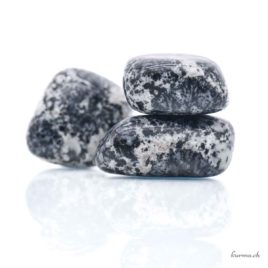 Diorite orbiculaire – Pierre roulée – Taille L