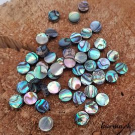 Paua ou Abalone – Perles 8mm disque plat – N°9200