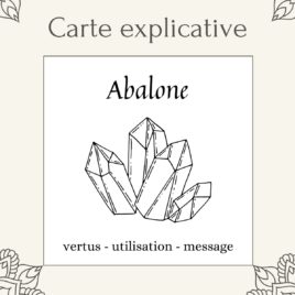 Carte lithothérapie Abalone