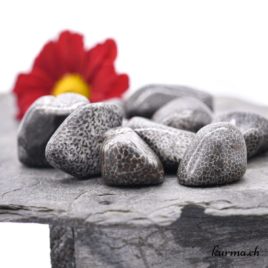 pierre roulee bryozoaire corail noir fossilise 2.5 3.5cm no 5499.1 3