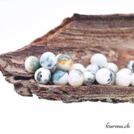 Perles Agate arborisée 6mm