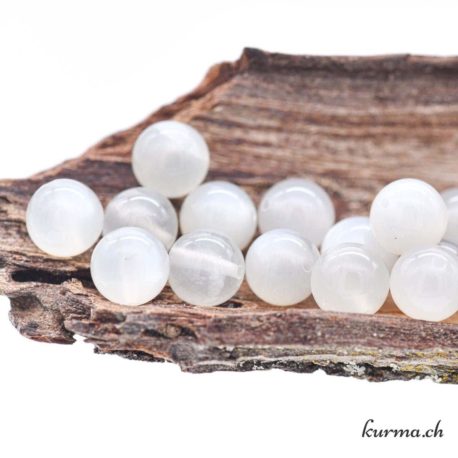 Perles Pierre de lune blanche grise 8mm