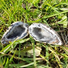 Agate géodes - Paire - N°5423.7 • agate geode 5423.7 3 Agate géodes