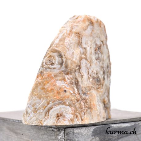 Minéraux Agate Géode - N°5423.19-5 disponible dans la boutique en ligne Kûrma. Votre boutique de pierre semi-précieuse en suisse