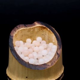 Perles Quartz pêche mat 4mm