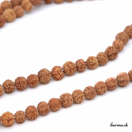 Mala en rudraksha marron 6mm