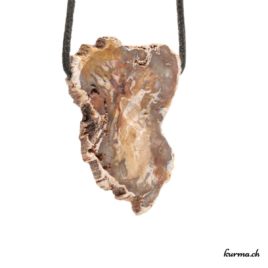Bois pétrifié - Pendentif pierre percée - N°5892.1 • pendentif en bois petrifie en tranche n°5892.1 2 Bois pétrifié pendentif pierre percée