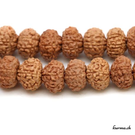 Achetez votre bracelet naturel d’origine végétal directement dans la boutique en ligne Kûrma. Chaque bracelet est sélectionné avec le plus grand soin. Ces bracelets  vous apporteront sérénité et tranquillité.