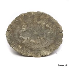 Marcassite - Pierre brute de poche - N°5180.4 • marcasite n°5180.4 1 1 Marcassite brute
