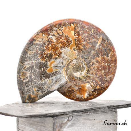 Minéraux Ammonite - N°9102.1-2 disponible dans la boutique en ligne Kûrma. Votre magasin de minéraux naturels en suisse romande
