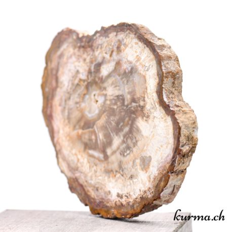 Minéraux Bois Pétrifié - N°5178.1-2 disponible dans la boutique en ligne Kûrma. Votre boutique de pierre semi-précieuse en suisse