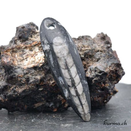 Pendentif Orthoceras (b) - N°13712-2 disponible dans la boutique en ligne Kûrma. Votre magasin de pierre et minéraux en suisse