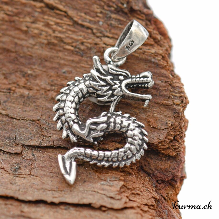 Pendentif Serpent En Argent Sterling 925 - 6.4 Grammes - Réf. Providence 26310 - Neuf Sans Emballage