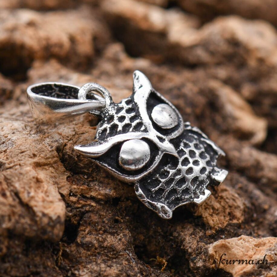 Lot De 4 Colliers Déclaration - Motifs Oiseaux Et Hiboux Avec Pierres Diamantées - Occasion