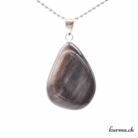 Obsidienne argentée 'Sibérienne' pendentif boucle en argent