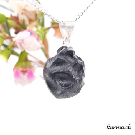 Tectite pendentif boucle en argent