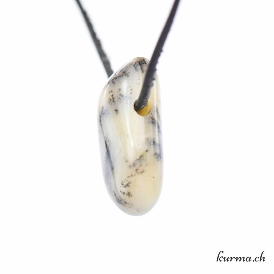 Opale dendrite 195gr 80mm de Brésil