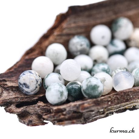 Perles Agate mousse 6mm claire