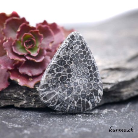 Cabochon Bryozoaire ''Corail noir fossilisé'' (b) - N°6564.1 disponible dans la boutique en ligne Kûrma. Votre magasin de pierre semi-présieuse pour la bijouterie