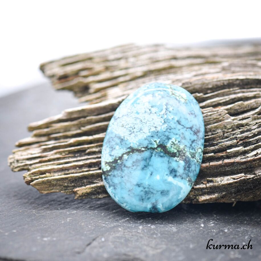 Naturel merveilleux Tibet turquoise 38,20 ct. Oval Cabochon Loose