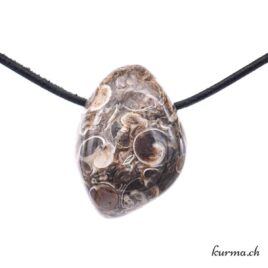 Agate turitelle - Pendentif en pierre percée