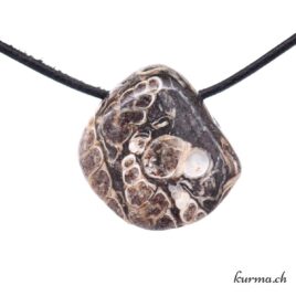 Agate turitelle - Pendentif en pierre percée