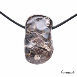 Agate turitelle en collier