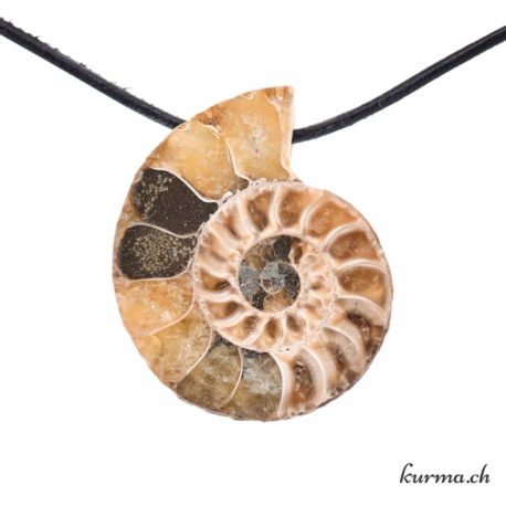 Collier Ammonite